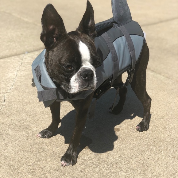 Meet your Posher, Michelle - Picture 1 of 1